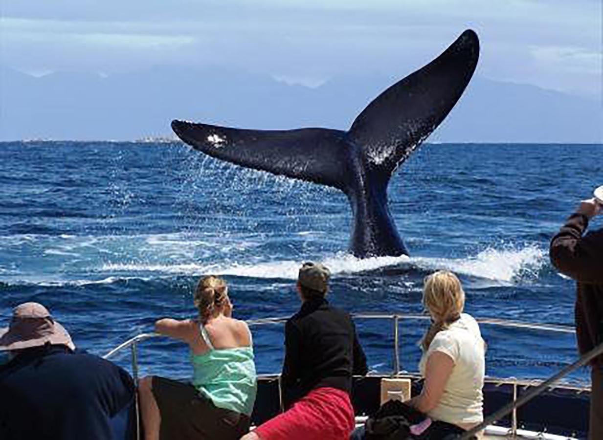 Fish Hoek Whale Watchers Apartments Exteriér fotografie